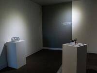 View of the exhibition, 'Desperate Remedy/Little Ones (BHSU)' View of the exhibition, 'Desperate Remedy/Little Ones (BHSU)'