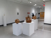 View of the exhibition, 'Bioreactor'