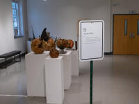 View of the exhibition, 'Bioreactor'