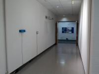 View of the exhibition, 'Bioreactor'