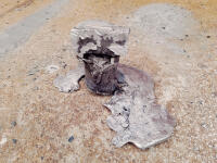 Before cutting the individual peanuts free