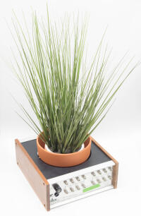 Obsolete audio equipment reimagined as a planter.