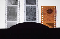 These three negatives made up the image above.