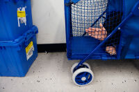Petco’s pet carriers proved irresistible, and Danny climbed inside while waiting for check-out. This is...