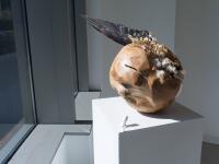 View of the exhibition, 'Sequence'