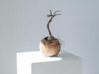 View of the exhibition, 'Sequence'